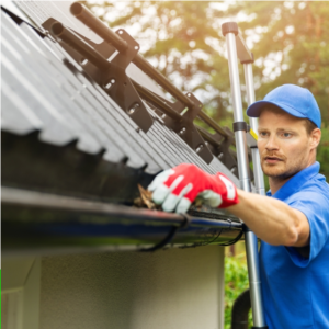 Roof Cleaning Safety Harbor