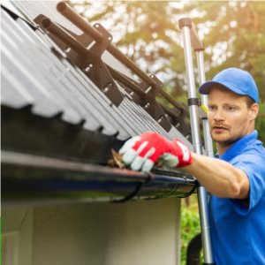 Tampa Power Washing Near Me