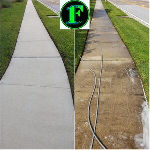 Palm Harbor Florida Driveway Cleaning